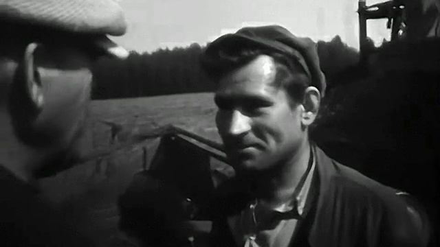 1969 год. Тюменская область. Заготовка сена