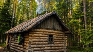 НА ЩУЧЬИХ БОЛОТАХ | Живу в избушке на озере. Поиск хищника, таёжный быт и тишина