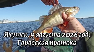 Якутск рыбалка. Городская протока 9 августа 2026 год.