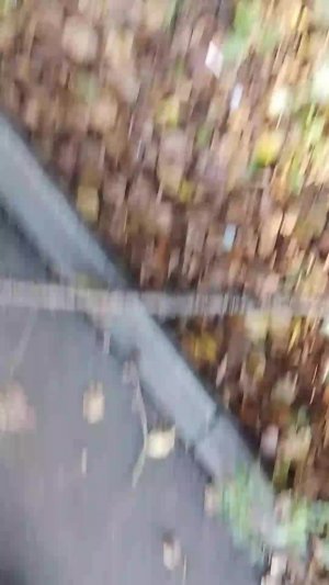 Ходим по заброшкам