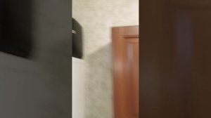 1000005179.mp4