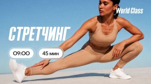 СТРЕТЧИНГ с Анастасией Филипьевой | 10 августа 2026 | Онлайн-тренировки World Class