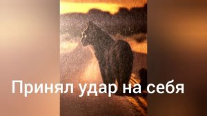 Принял удар на себя
