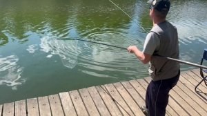 На чистую кукурузу