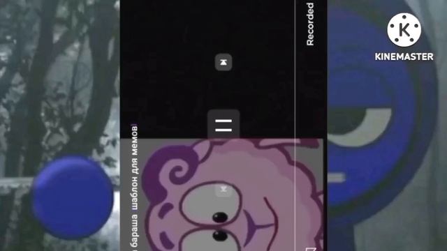 Video all