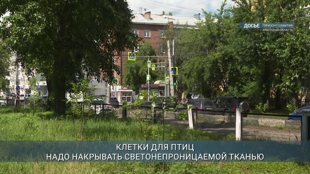 Новые требования к перевозке животных в такси вступят в силу 1 сентября