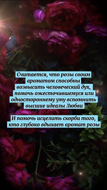 Сила РОЗЫ