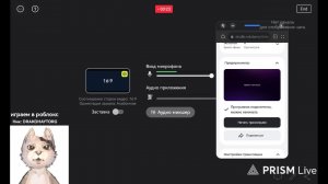 Играем в роблокс