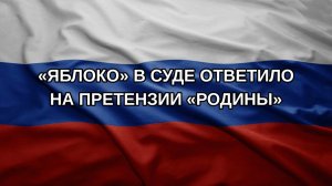 «Яблоко» в суде ответило на претензии «Родины»