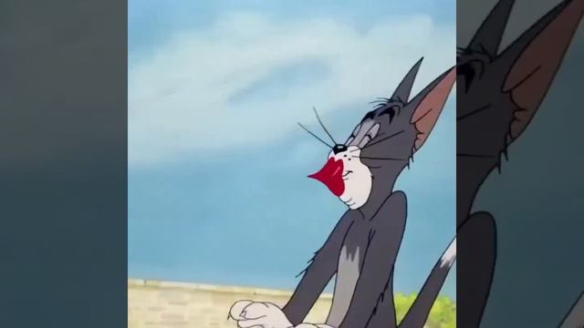 61244.mp4