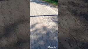 продолжаем метать сено в сенник день 2