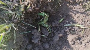 Находки у старого советского дома
