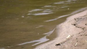 Спасатели напоминают о правилах безопасности на воде в разгар пляжного сезона
