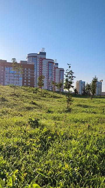 Мистерия утра: омовение росой (2 ч.)