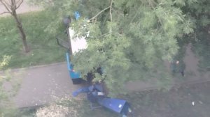 Рабочие размельчают отпиленные ветви с деревьев прямо под окнами.