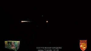 ССК 7716 Батарея салютов ЛЕСНАЯ ЧАРОДЕЙКА (1,0-1,25*73) ЗД