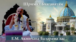 11.08.2026 || Шримад Бхагаватам 11.10.22 || Е.М. Акинчана Баларама дас