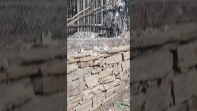 Парк MALINKI в Каменске шахтинский