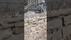 Парк MALINKI в Каменске шахтинске