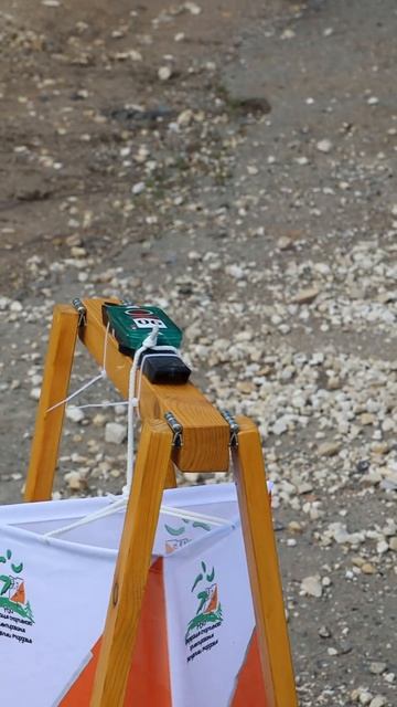 Универсиада по спортивному ориентированию проверила наших студентов на прочность.