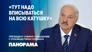 Лукашенко: Двое родителей — двое ребятишек. Это база. Совещание Президента с руководством Совмина