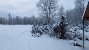 ПОЙМАТЬ РОСОМАХУ В ПАСТЬ. ХОДОВАЯ ОХОТА В РАЙОНЕ ИЗБЫ «БАЗОВОЙ»