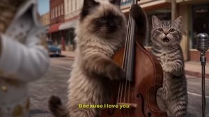 Котиковый Элвис