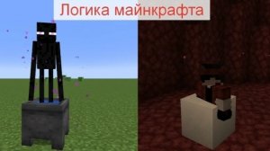 логика Майнкрафта проверил почти всё (видео от шек морф)