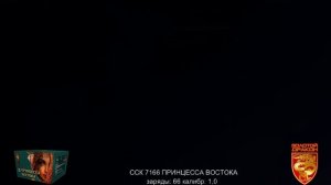 ССК 7166 Батарея салютов ПРИНЦЕССА ВОСТОКА (1,0*66)