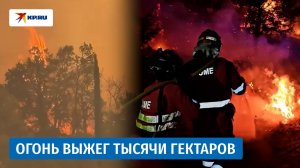 Испанию охватили мощные лесные пожары: сотни людей эвакуированы