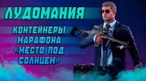 КАЛИБР ● ШОУ «ЛУДОМАНИЯ» ● Контейнеры марафона «Место под солнцем»