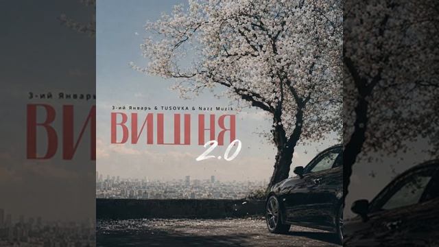 3-ий январь Вишня 2.0