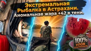 Рыбалка в АСТХАНИ в  август 2026 года. +42 градуса в тени. Рыба варится в речке.