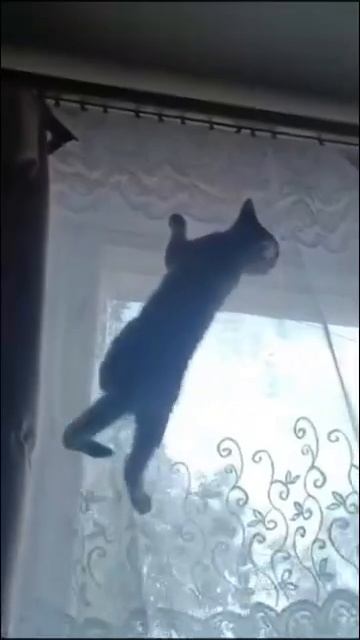 Время 