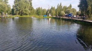Зарыбление форели, фореливая рыбалка на 1-м Вип водоёме РК «Фишка Петряиха»