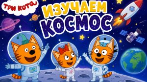 ИЗУЧАЕМ КОСМОС ВМЕСТЕ С 3 КОТА👋УЧИМ ПЛАНЕТЫ😝#детям #трикота #космос