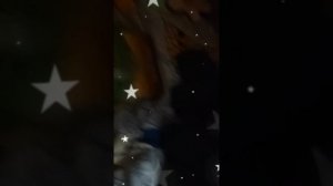 делаю домик под столом 2 часть финал