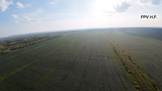 Хабаровский район. Недалеко с.Дружба. 07.2026.