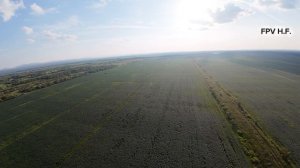 Хабаровский район. Недалеко с.Дружба. 07.2026.