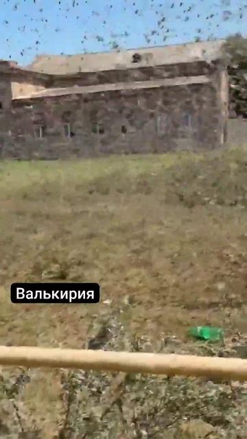 1786431005126.mp4