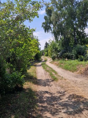первая трансляция