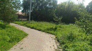 Новополянье! Сходили посмотреть на пруд!!!