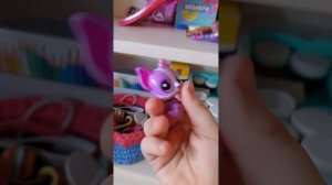 1000001157.mp4