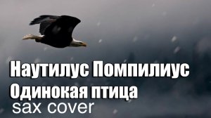 Nautilus Pompilius - Одинокая птица (sax cover)