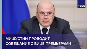 Мишустин проводит совещание с вице-премьерами