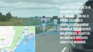 Жуткое ДТП произошло на трассе Раздольное-Хасан в Приморье : Мужчину придавил автомобиль