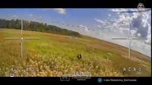 СВИНОREZKA С УЧАСТИЕМ ВСУ. КУПЯНСК. БОГУСЛАВКА.