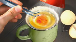 РАЗБИЛИ ЯЙЦО В СТАКАН И ЖДЕМ ЦЫПЛЕНКА! ЭКСПЕРИМЕНТ.