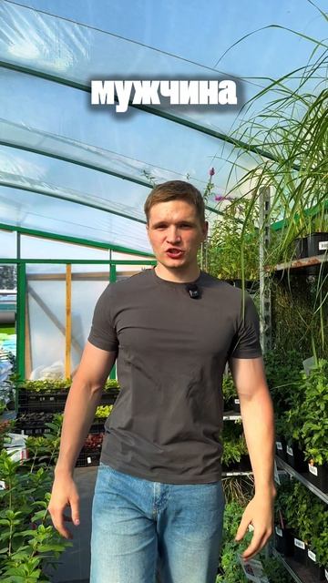 Почему сосед, а не ты?🙊
