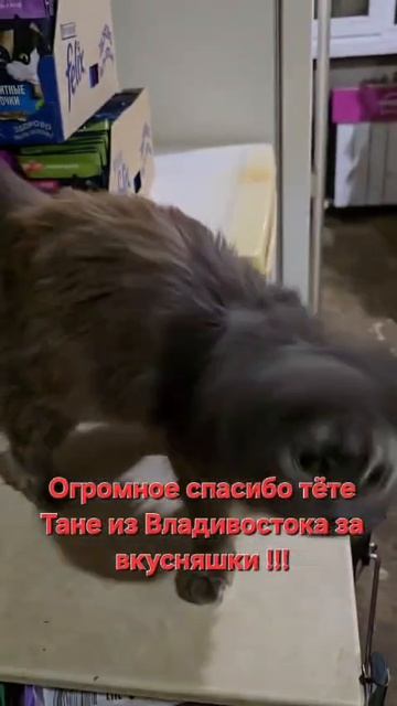Огромное спасибо тёте Тане!!!